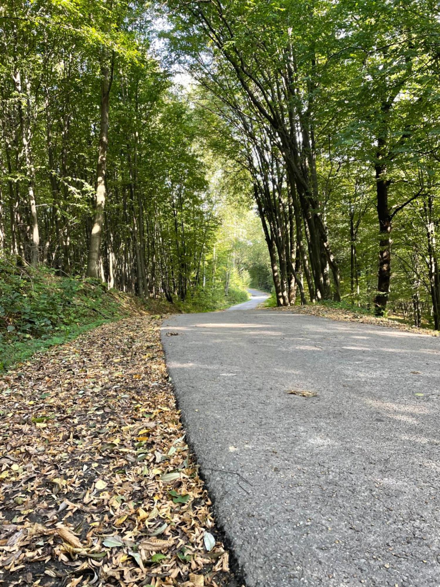 Wioska Jasia I Malgosi Izdebnik Bagian luar foto