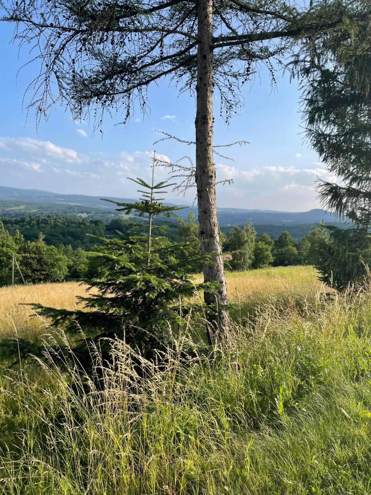 Wioska Jasia I Malgosi Izdebnik Bagian luar foto